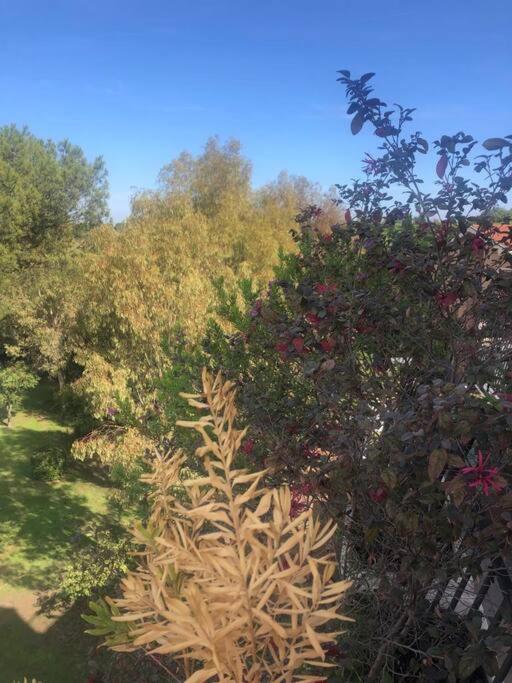 Casa Incantevole Con Vista Parco Appia Antica Roma Exterior foto