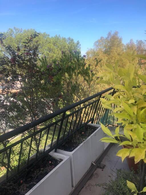 Casa Incantevole Con Vista Parco Appia Antica Roma Exterior foto